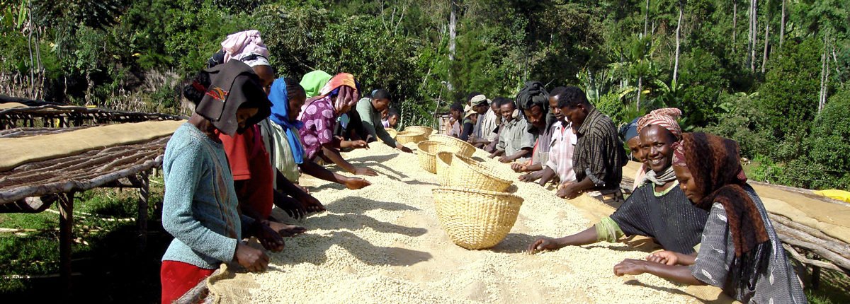 Kaffee aus Afrika