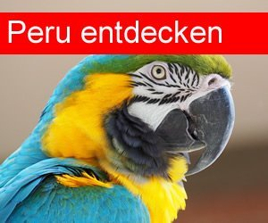 Peru auf einer Reisen entdecken