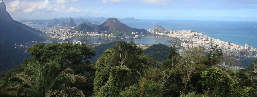 Brasiliens Kaffeebauern in der Krise – aus der Not eine Tugend schaffen