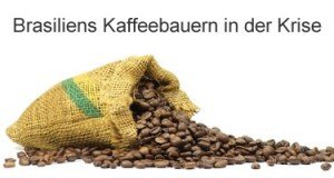 Brasiliens Kaffeebauern in der Krise