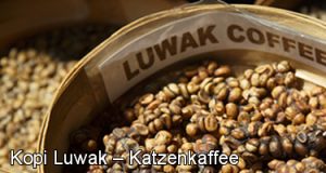 Kopi Luwak Katzen Kaffee