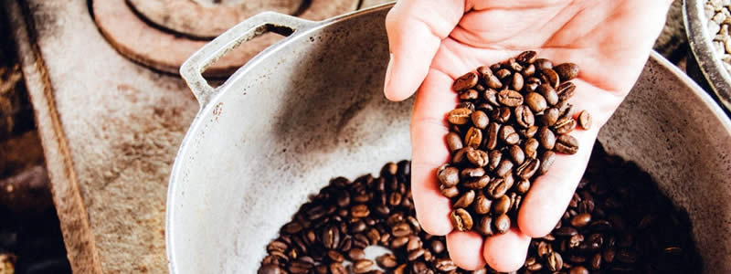 Fakten und Zahlen zu Kaffeebohnen