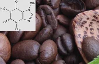 Wieviel Koffein ist im Kaffee enthalten