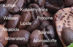 Die Inhaltsstoffe und seine Wirkung im Kaffee