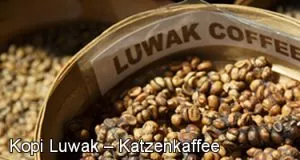 Kopi Luwak Katzen Kaffee