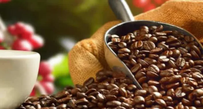 Peruanischer Kaffee: Eine Reise durch Aroma und Tradition